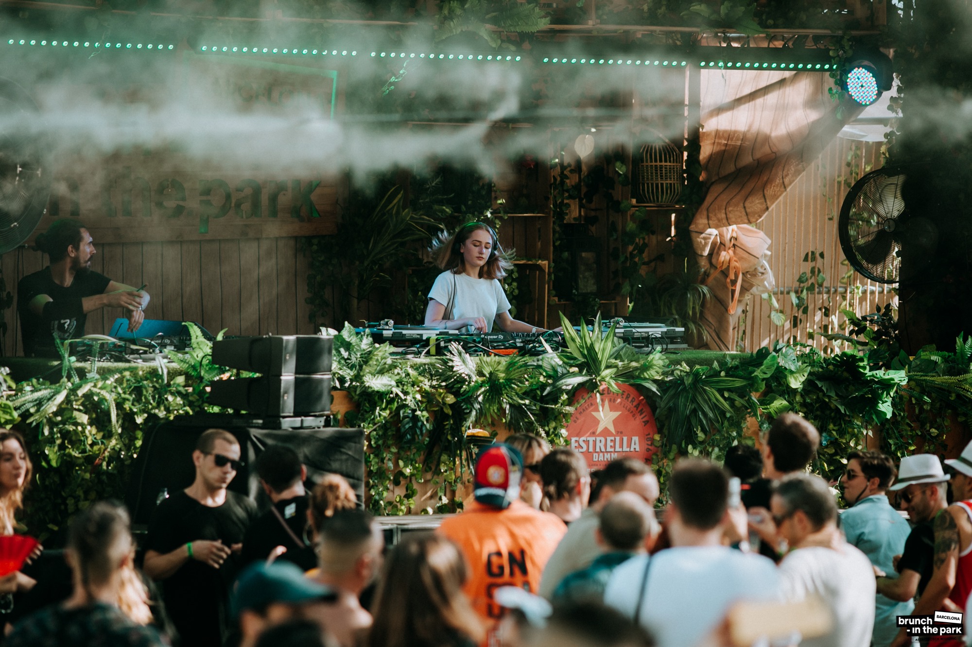 Palmetum Santa Cruz gallery image