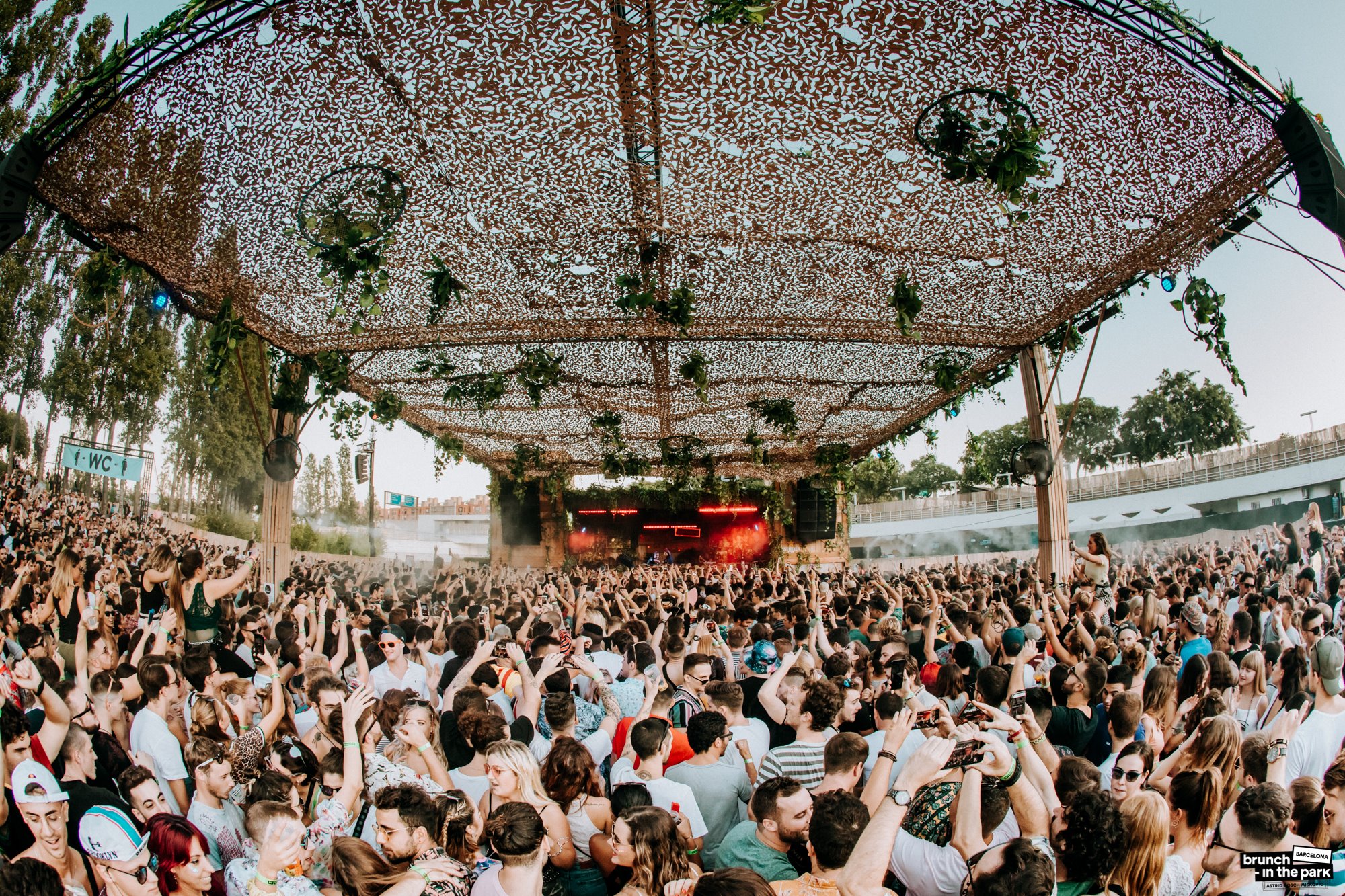 Palmetum Santa Cruz gallery image