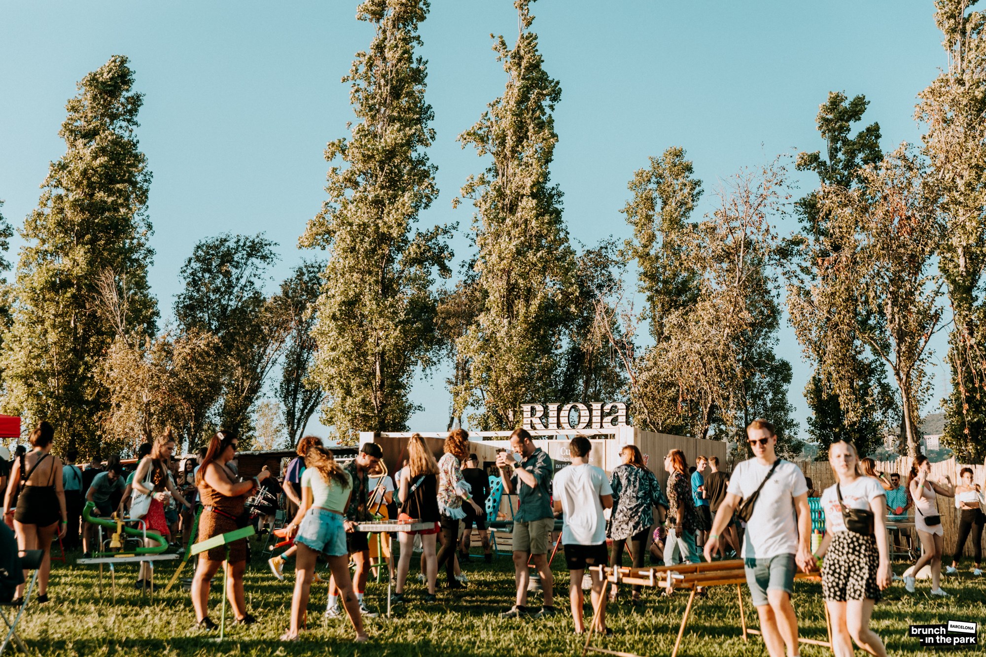 Palmetum Santa Cruz gallery image