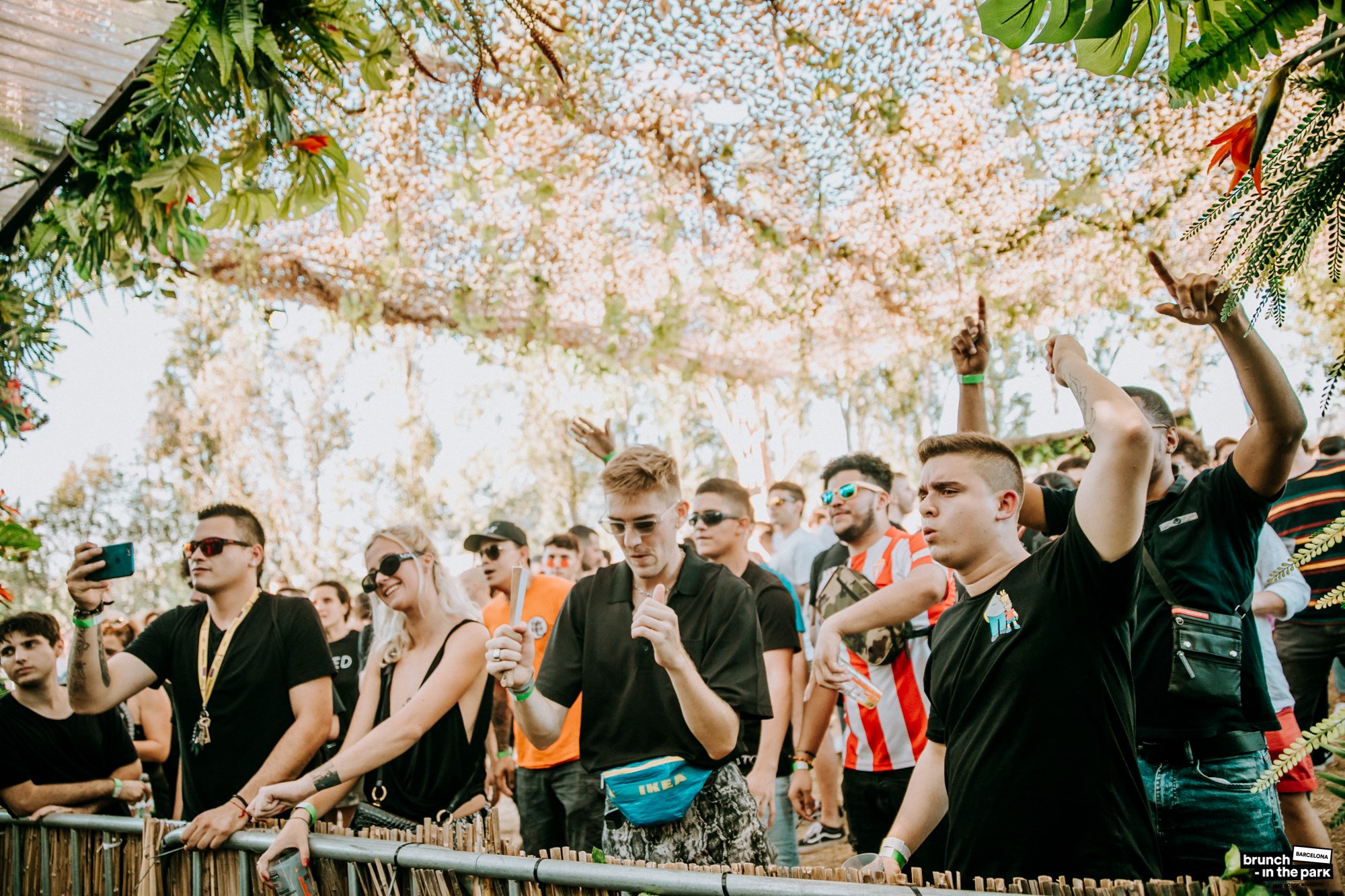 Palmetum Santa Cruz gallery image