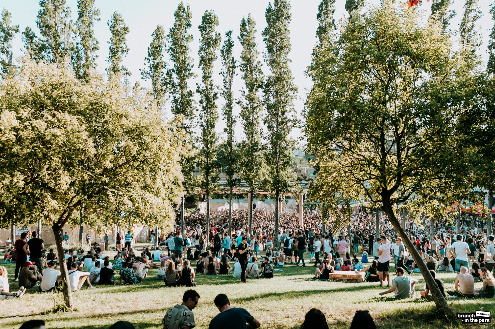 Palmetum Santa Cruz gallery image