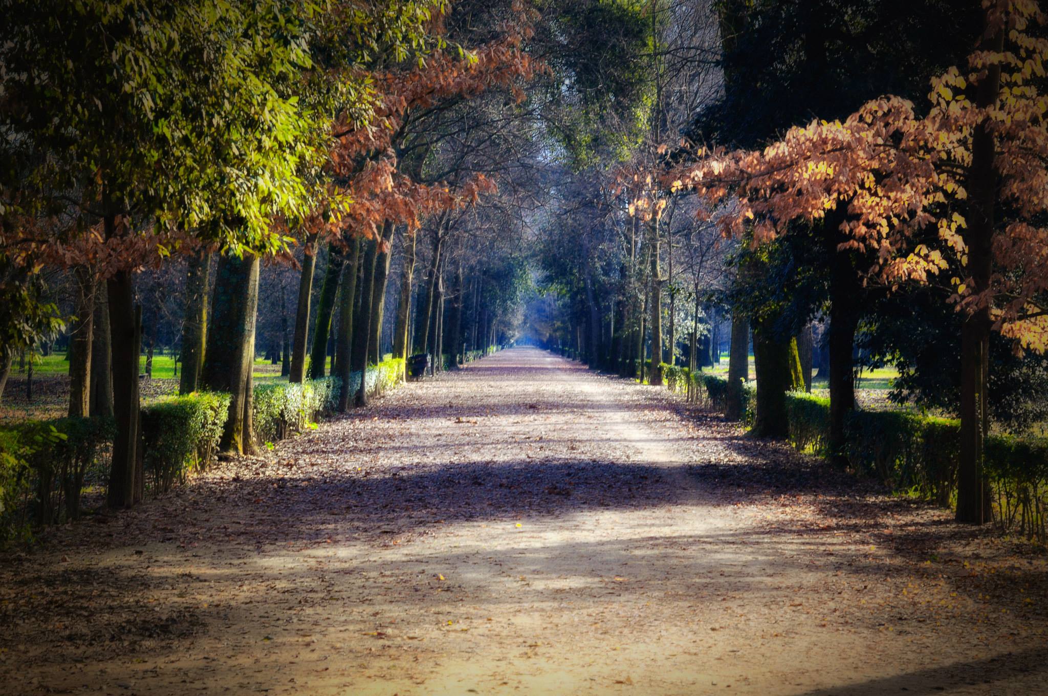 Parco Delle Cascine gallery image