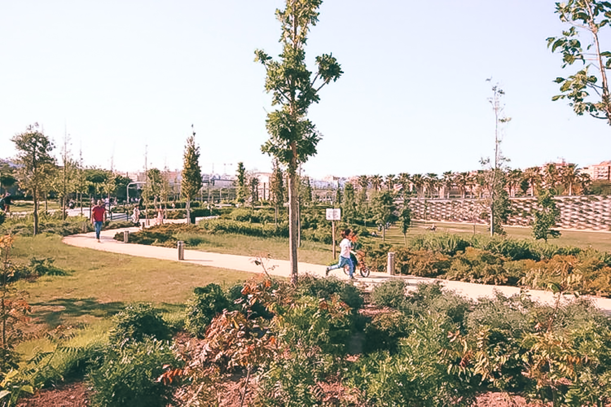 Parque Central gallery image