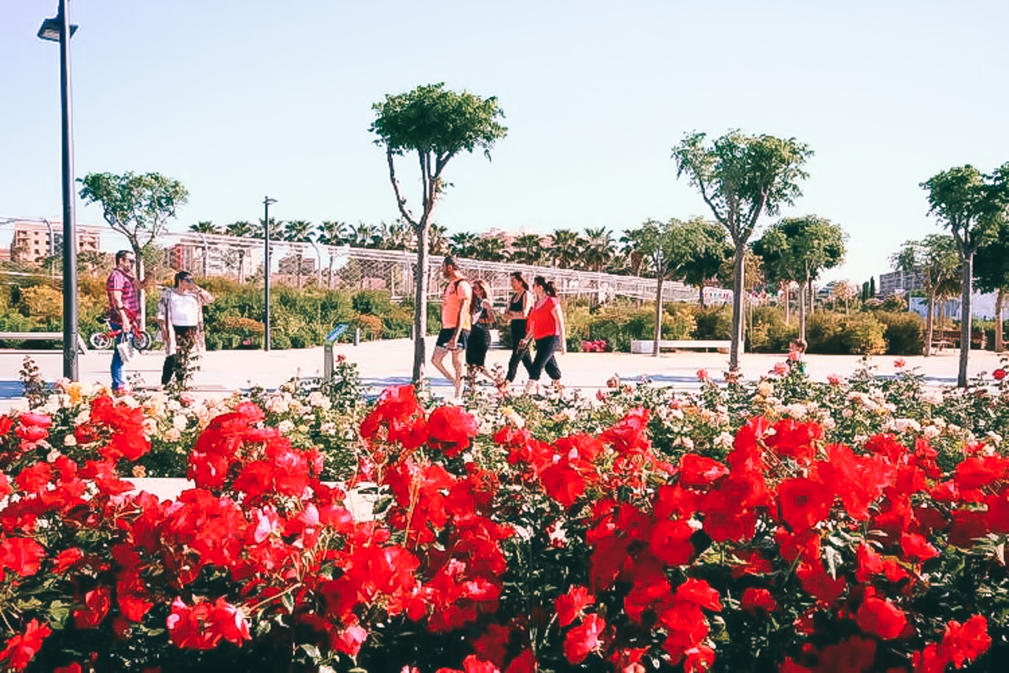 Parque Central gallery image