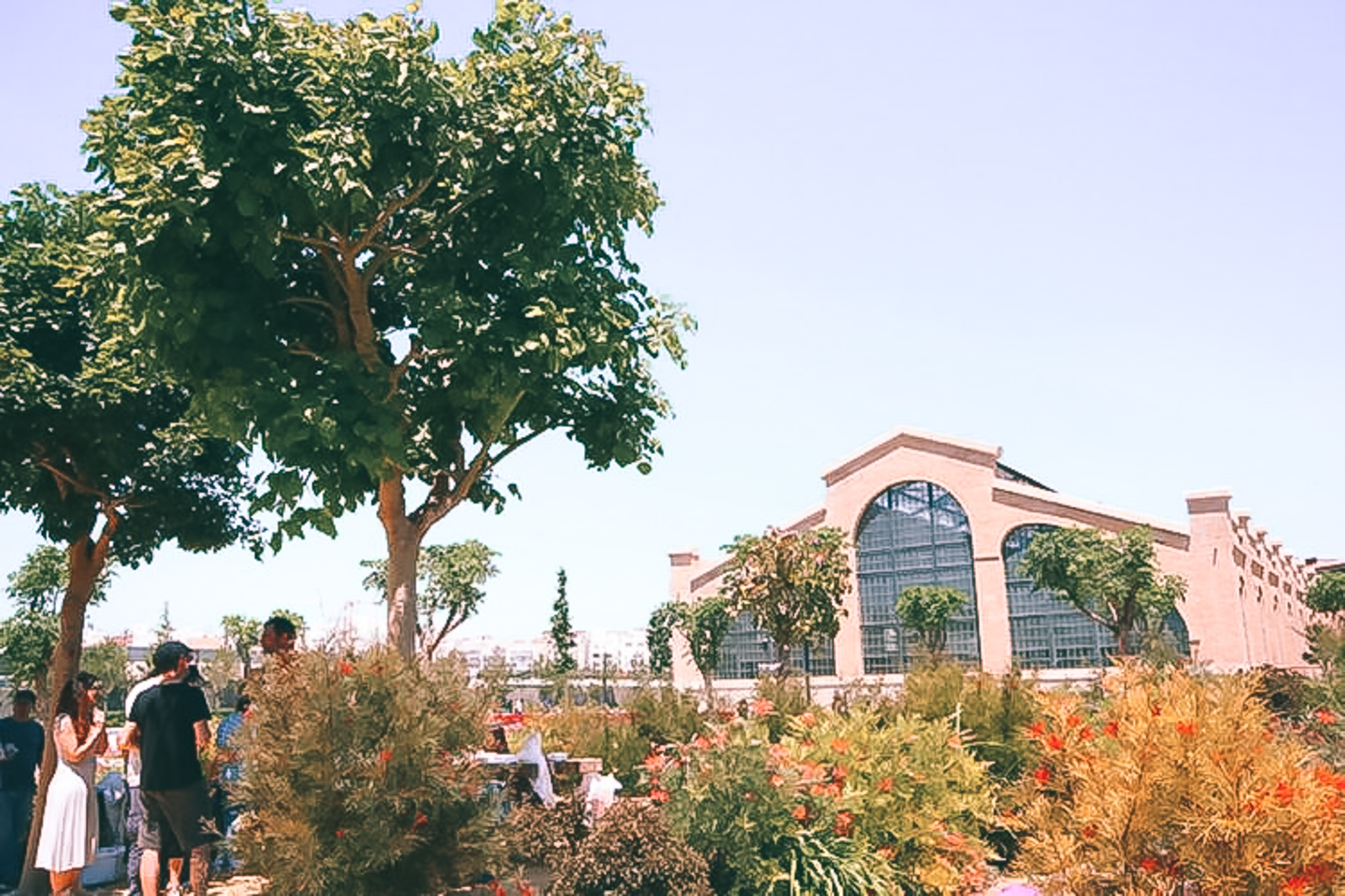 Parque Central gallery image