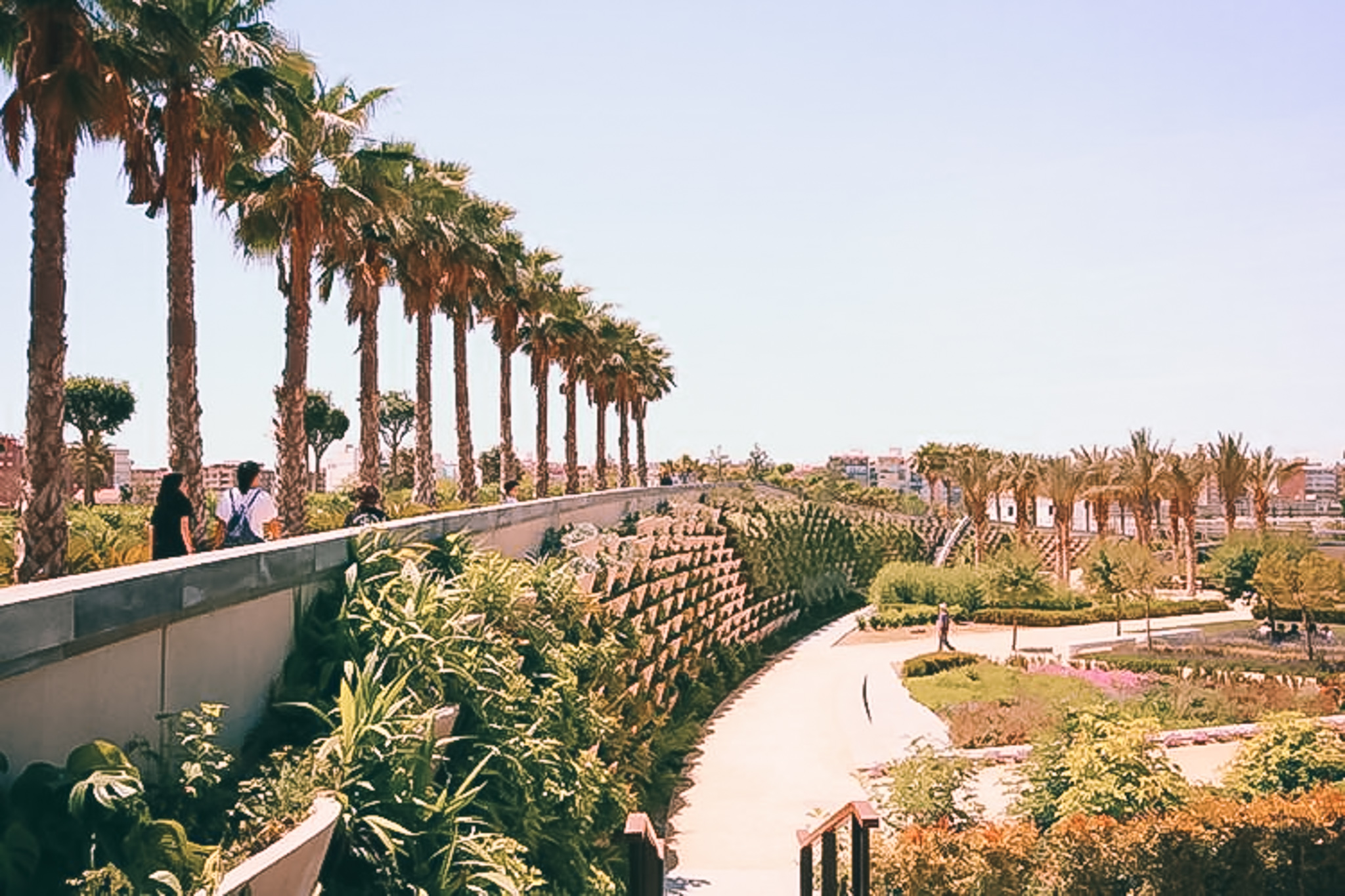 Parque Central gallery image