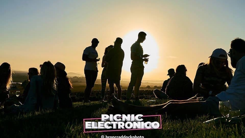 Picnic Electronico gallery image
