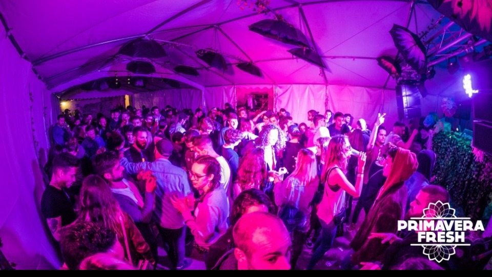 Primavera Fresh gallery image