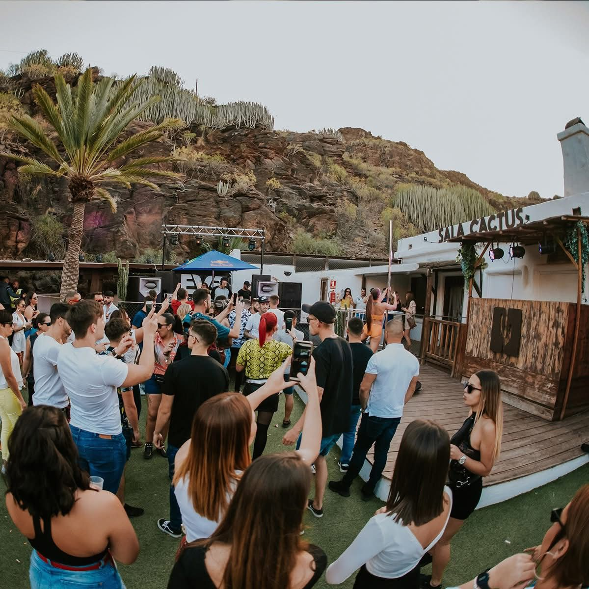 Sala Cactus gallery image