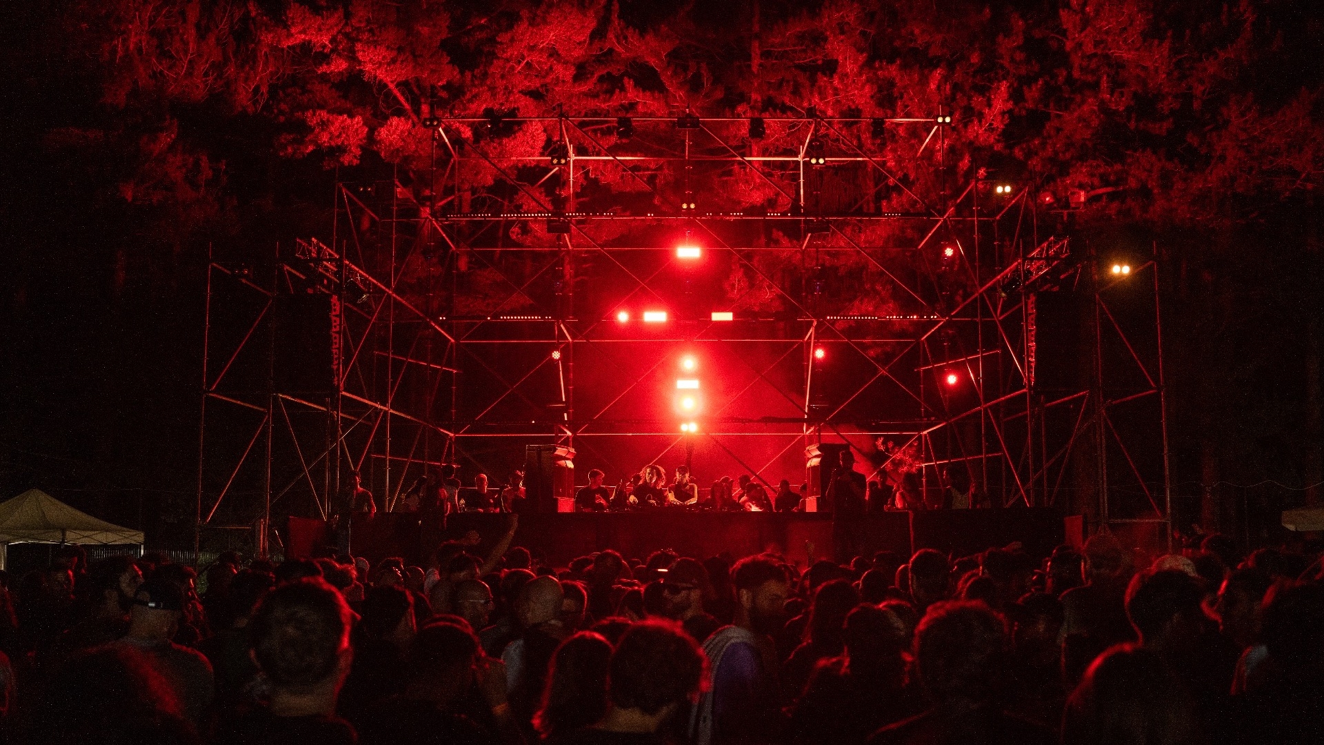 San Lorenzo in da Wood