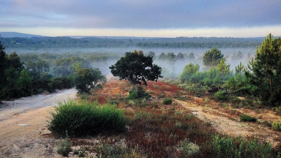 Sesimbra Natural Park