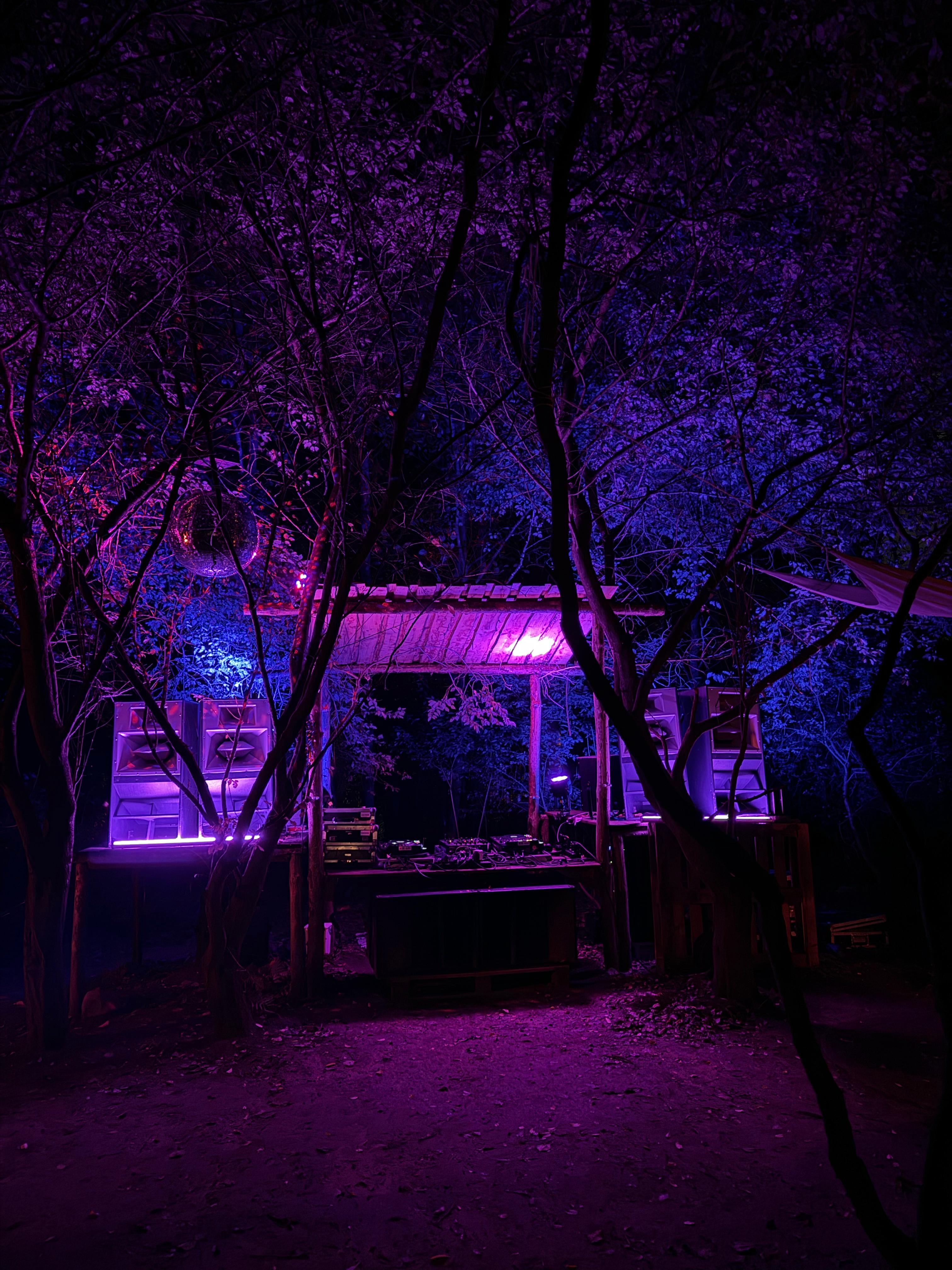 Soundscapes Garbicz gallery image