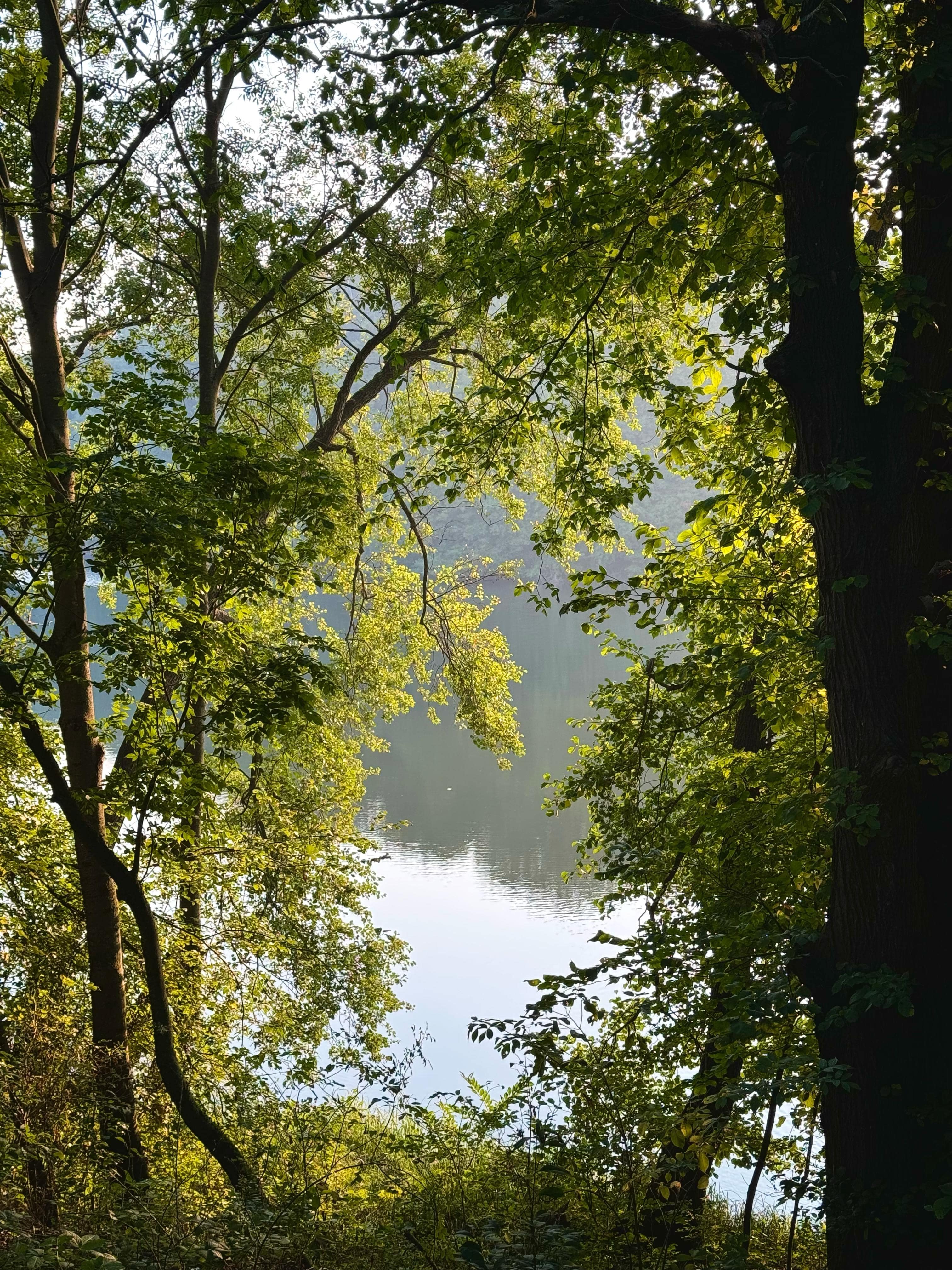 Soundscapes Garbicz gallery image