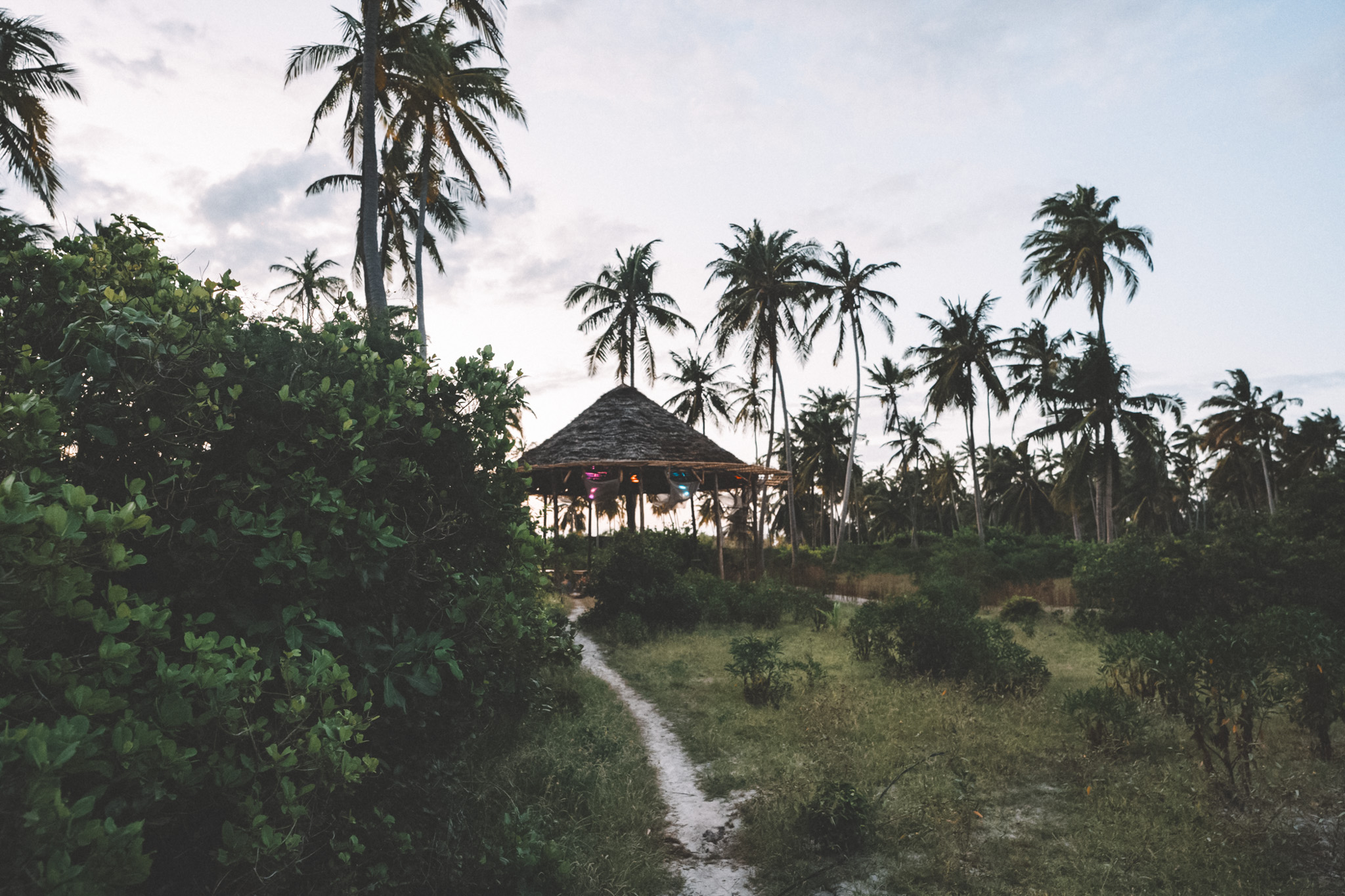 Soundscapes Zanzi gallery image