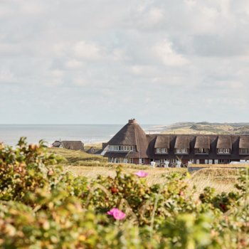 Sturmhaube gallery image