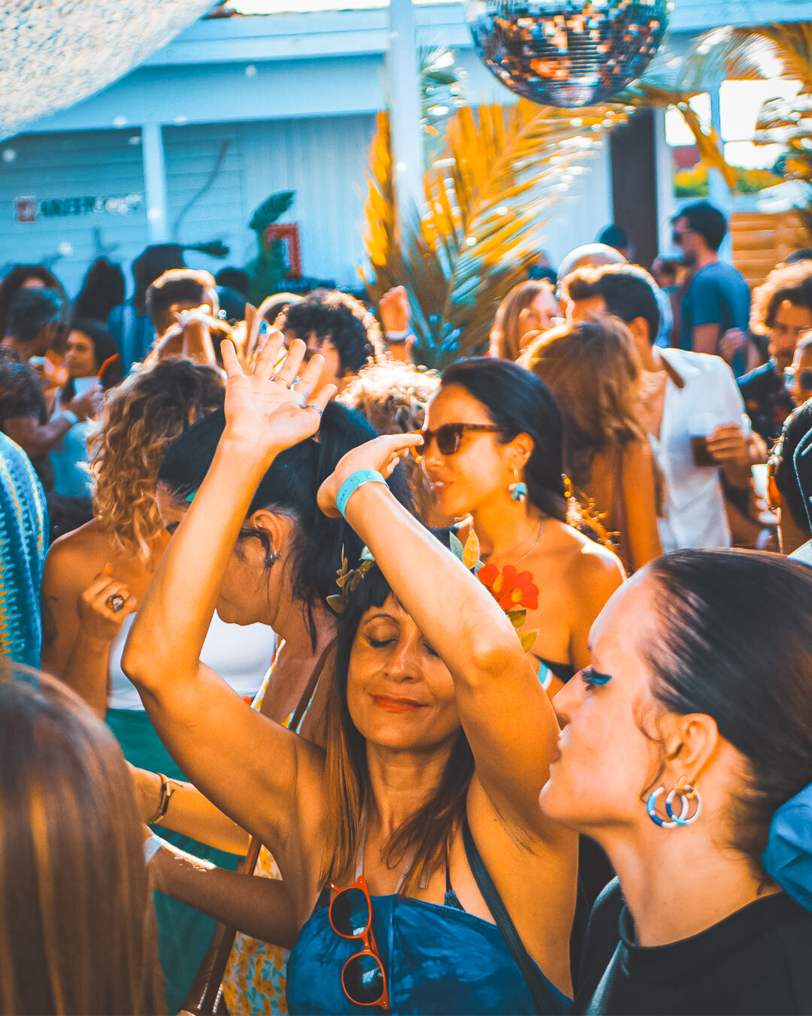 Surkos gallery image