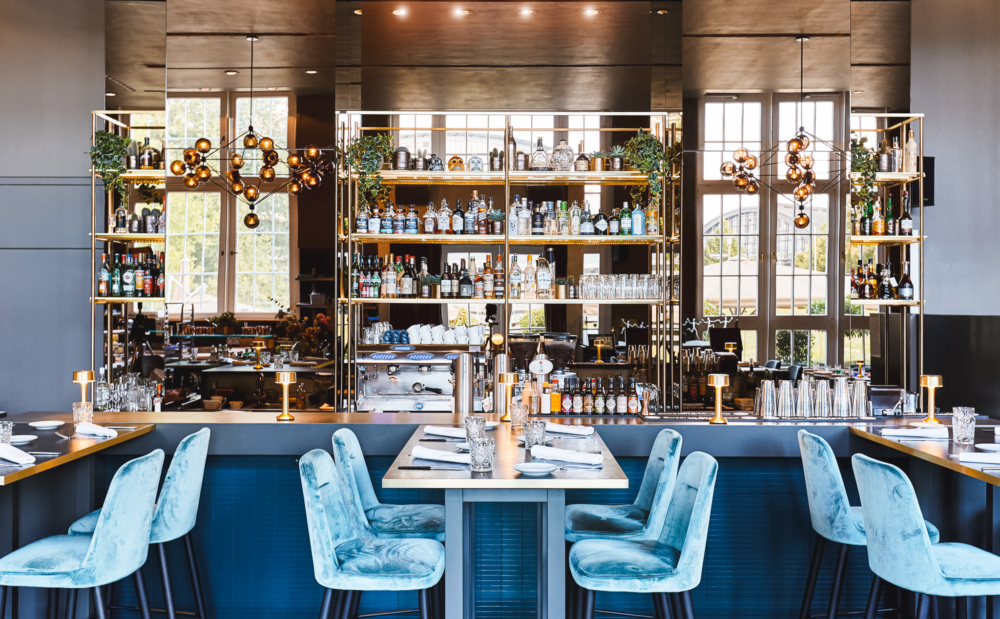 Tarantella gallery image