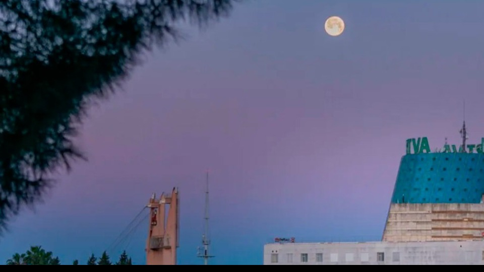 Terraza Alameda gallery image