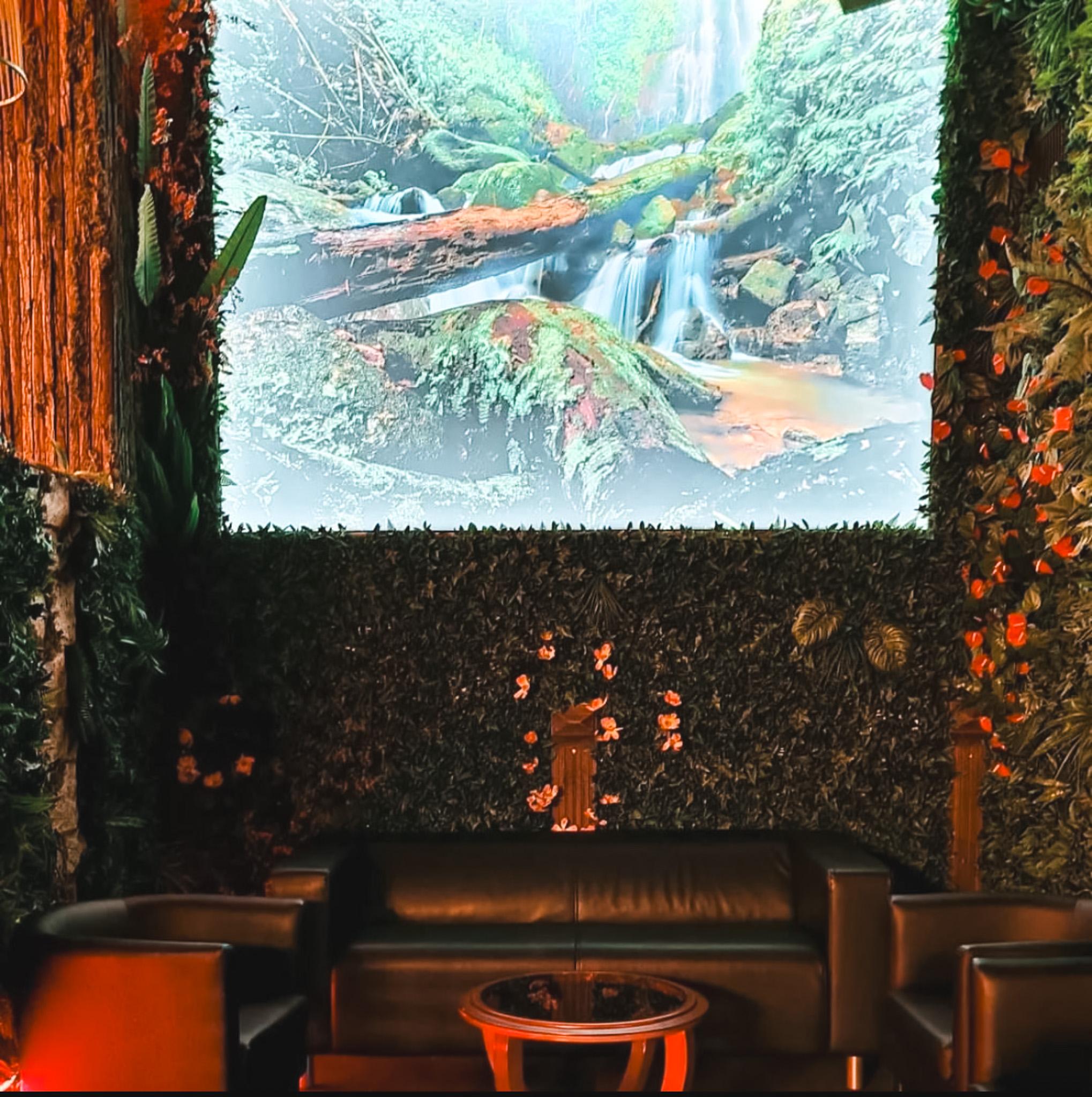 The Jungle Club gallery image