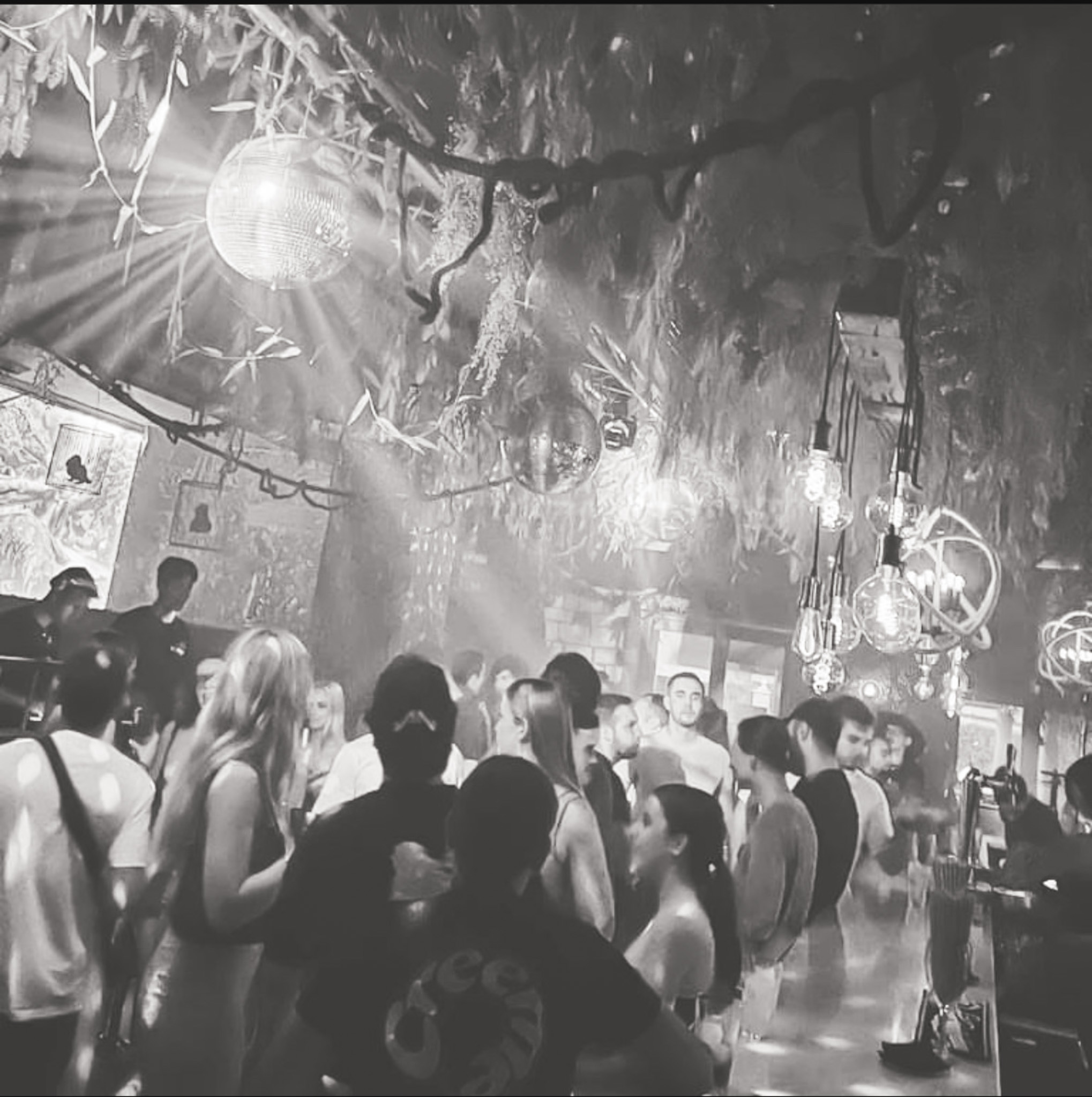 The Jungle Club gallery image