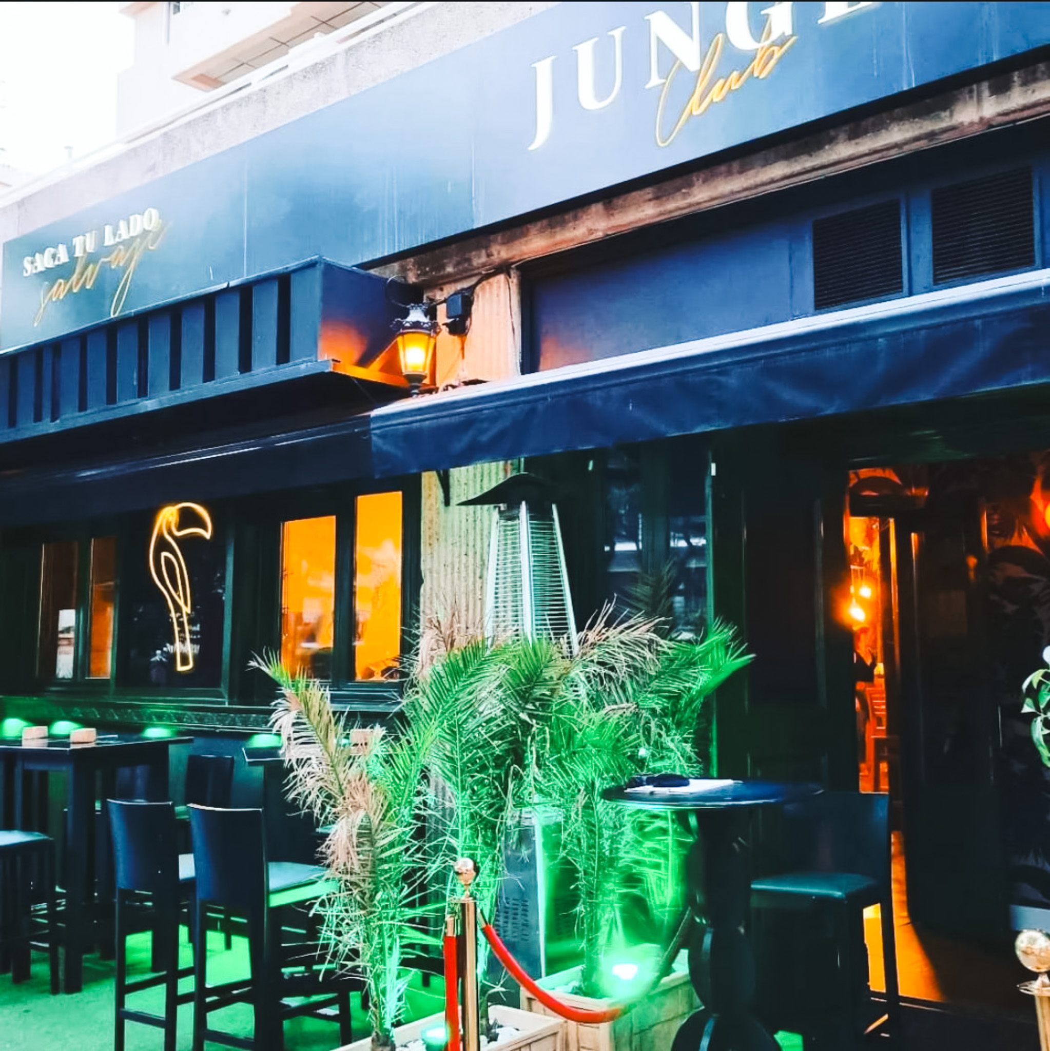 The Jungle Club gallery image