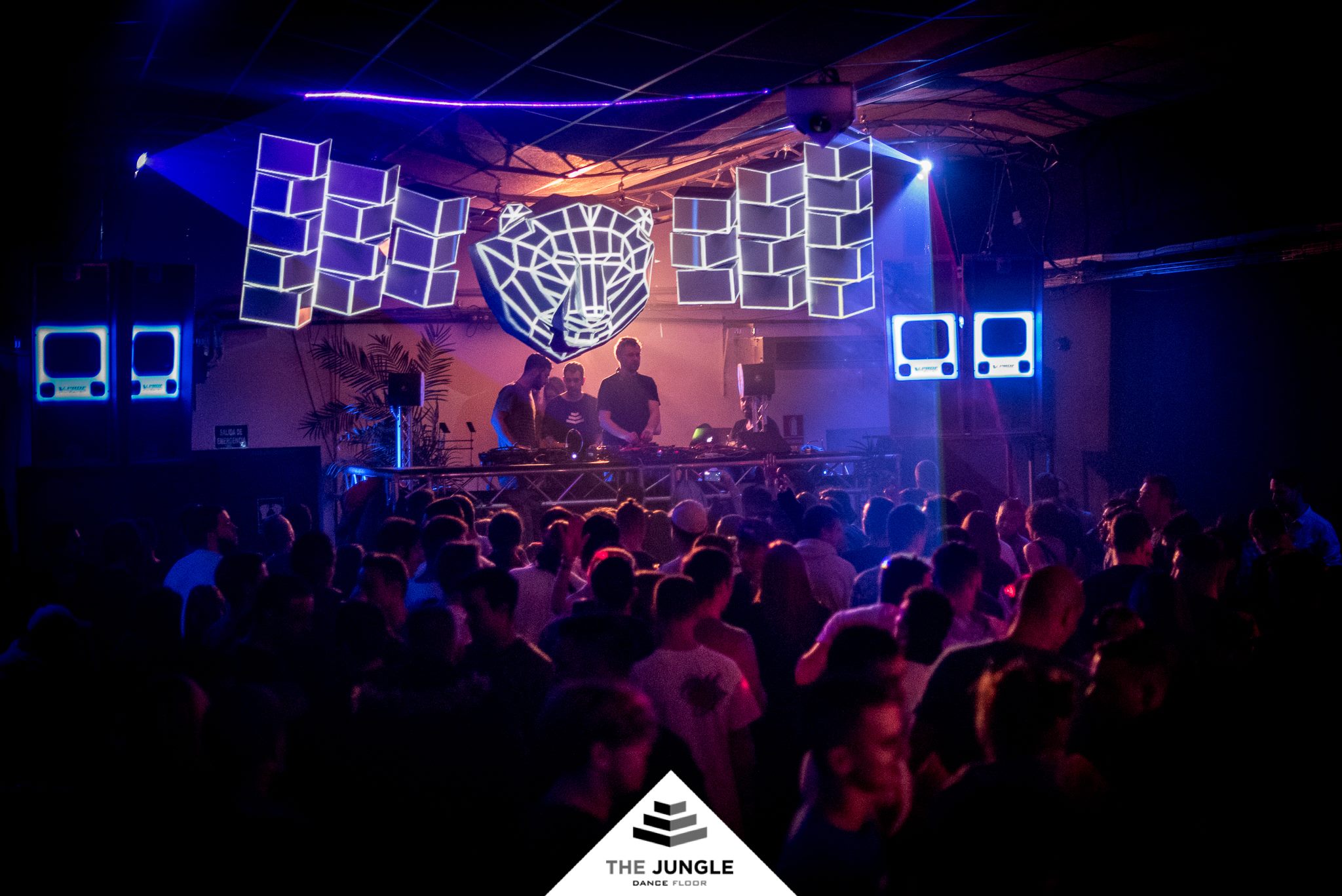 The Jungle Dance Floor