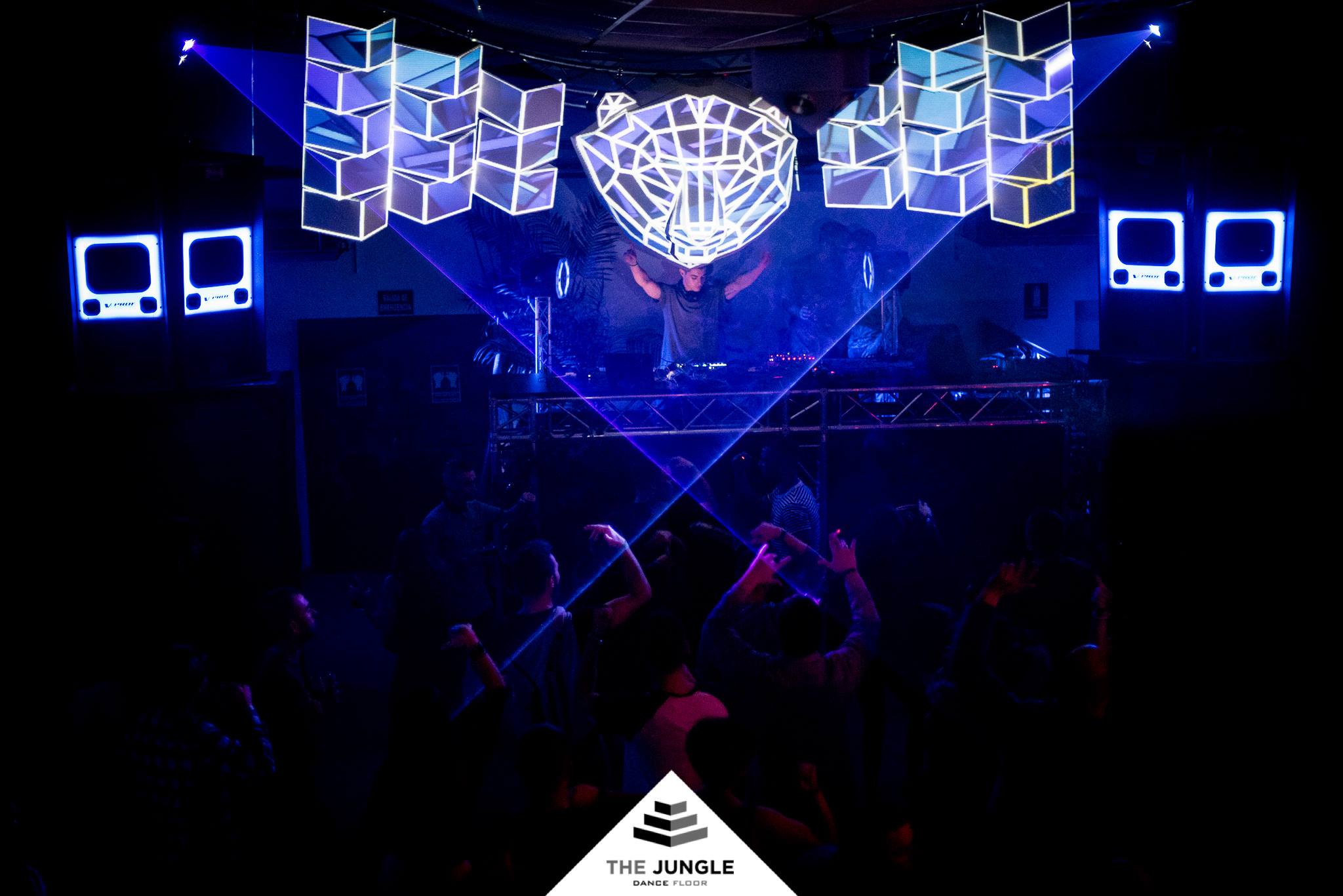 The Jungle Dance Floor