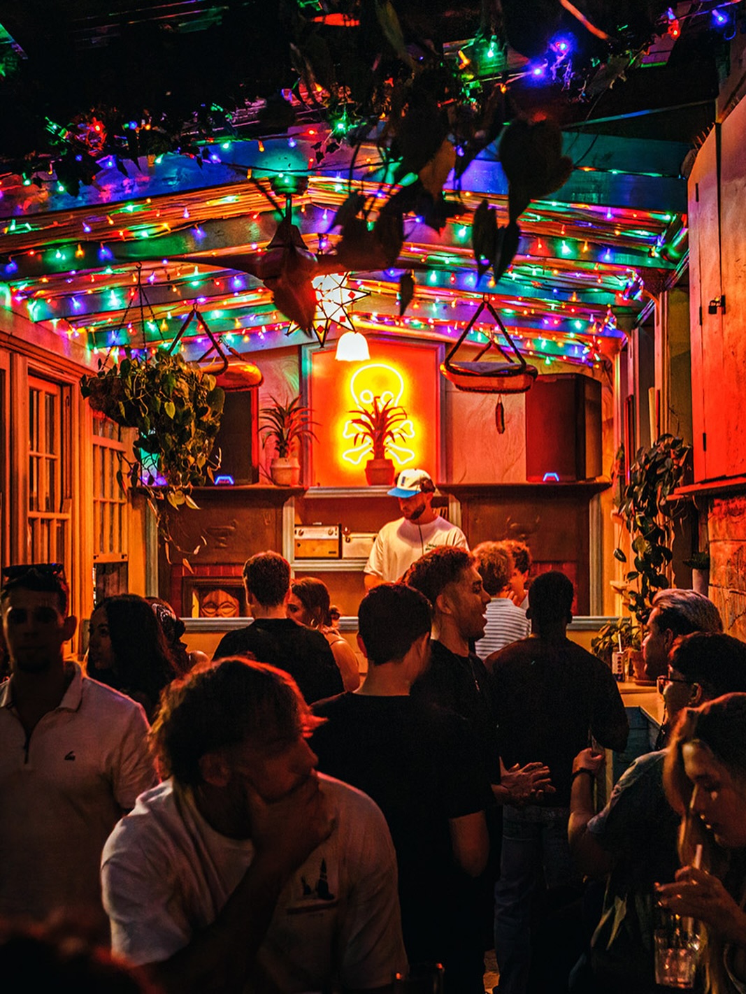 The Village Idiot gallery image