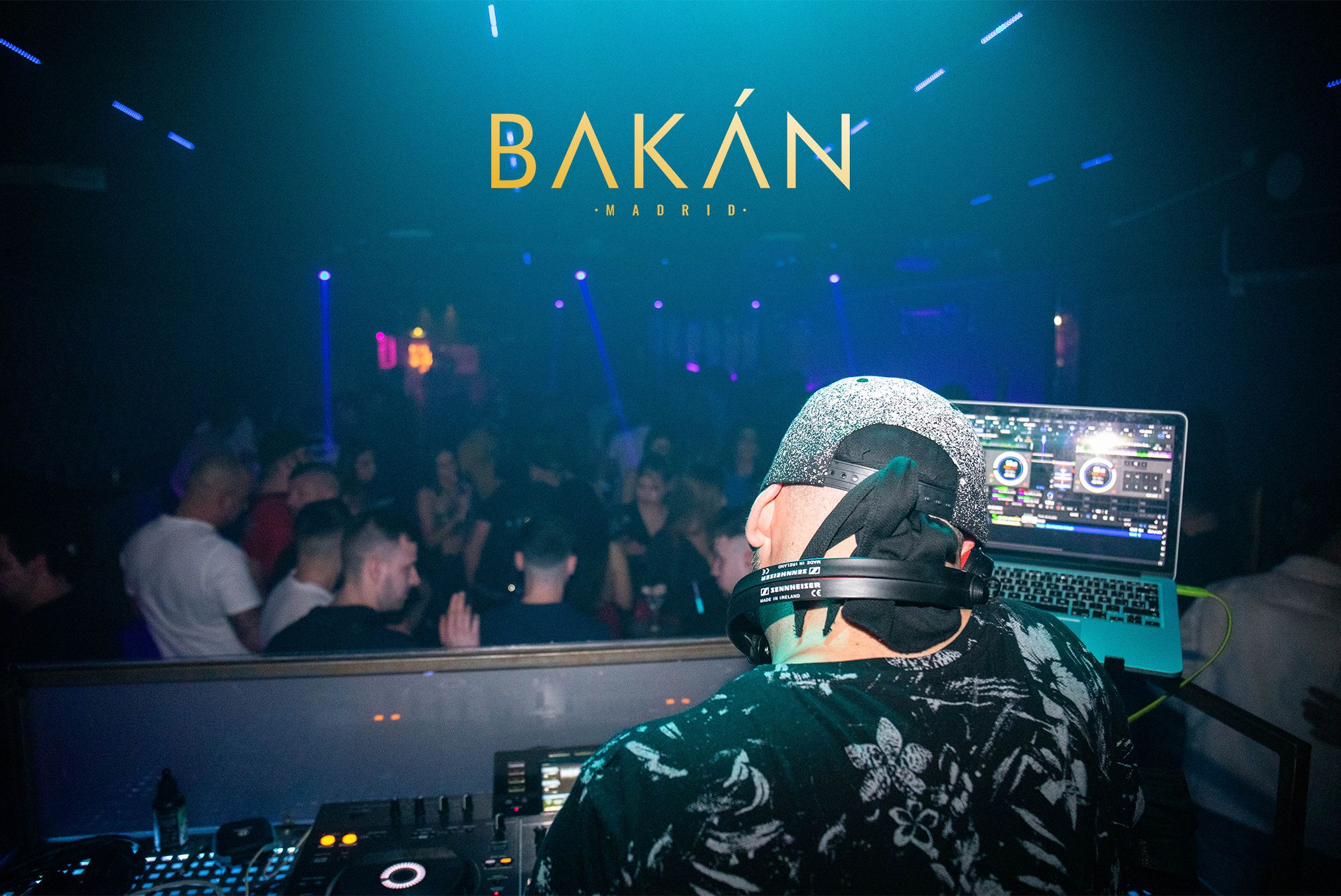 Toy House gallery image