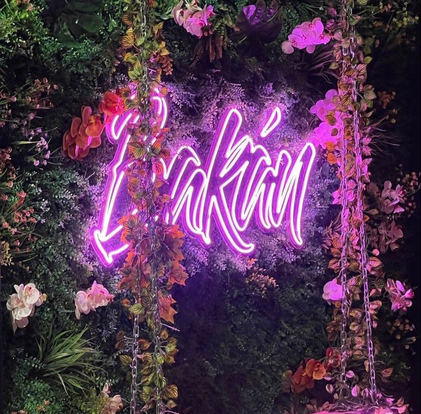 Toy House gallery image