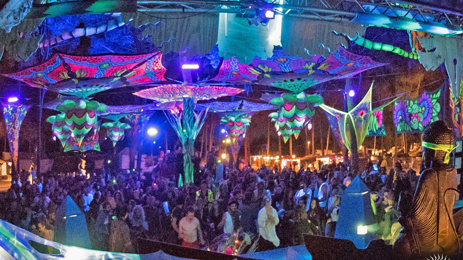 Transition Experience gallery image