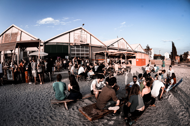 Tropisme gallery image