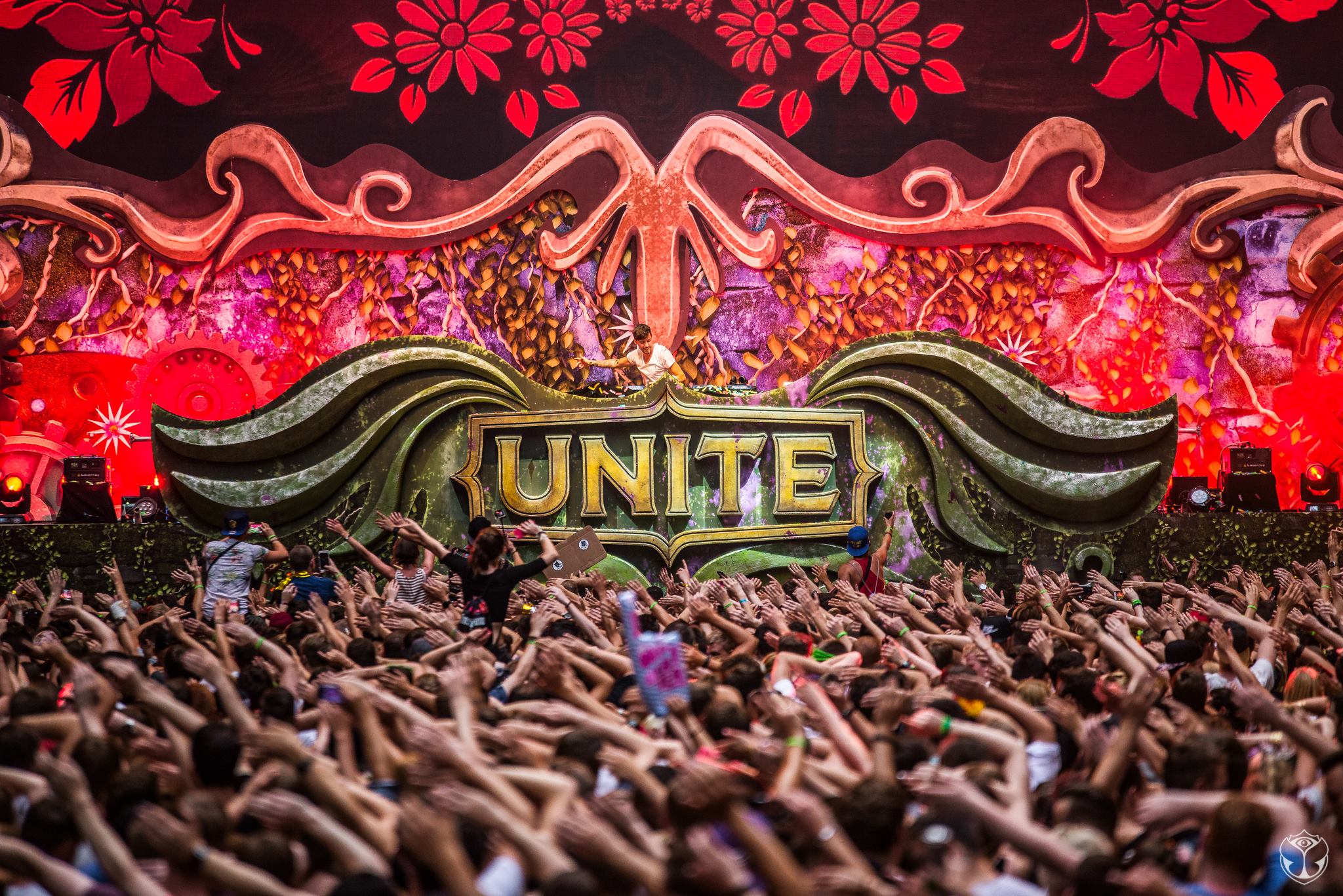 UNITE With Tomorrowland | Spain gallery image