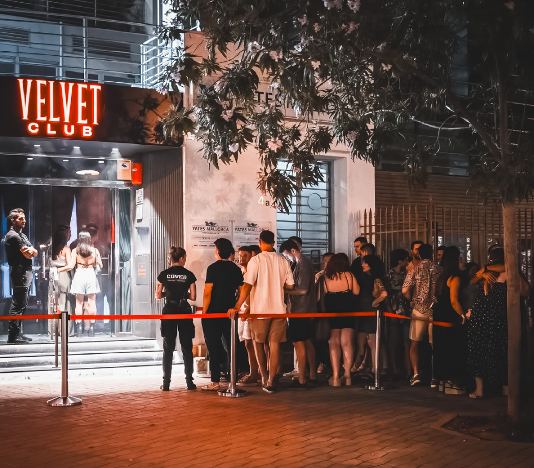 Velvet gallery image