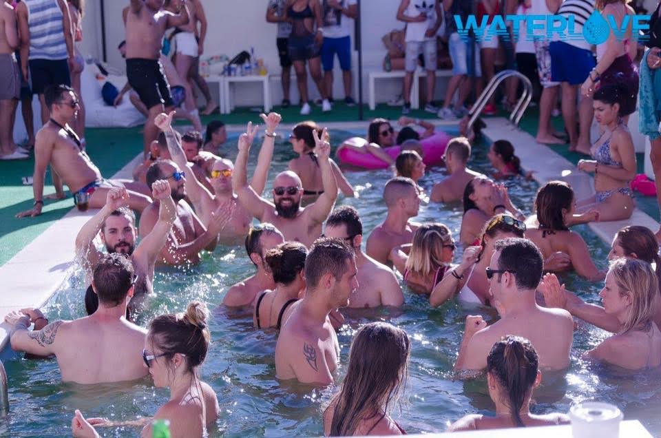 Velvet Rose gallery image