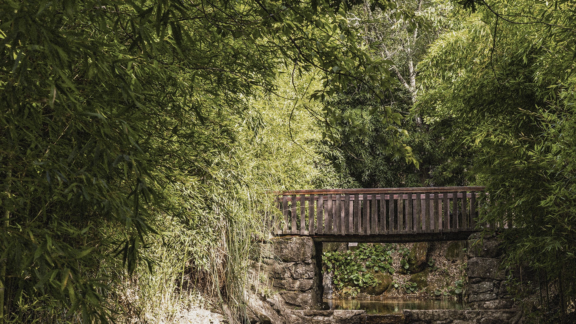 Vinculum Festival gallery image