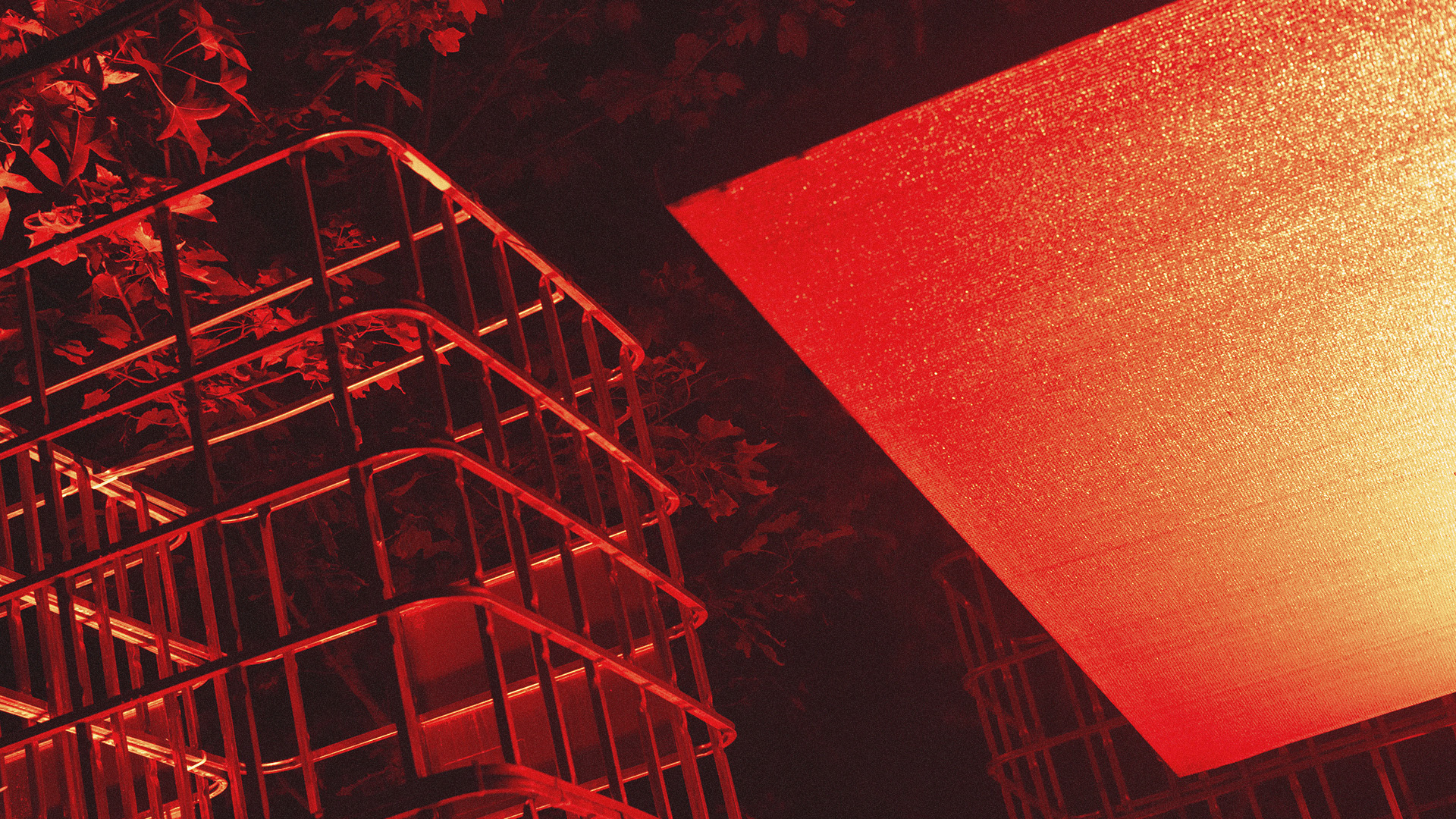 Vinculum Festival gallery image