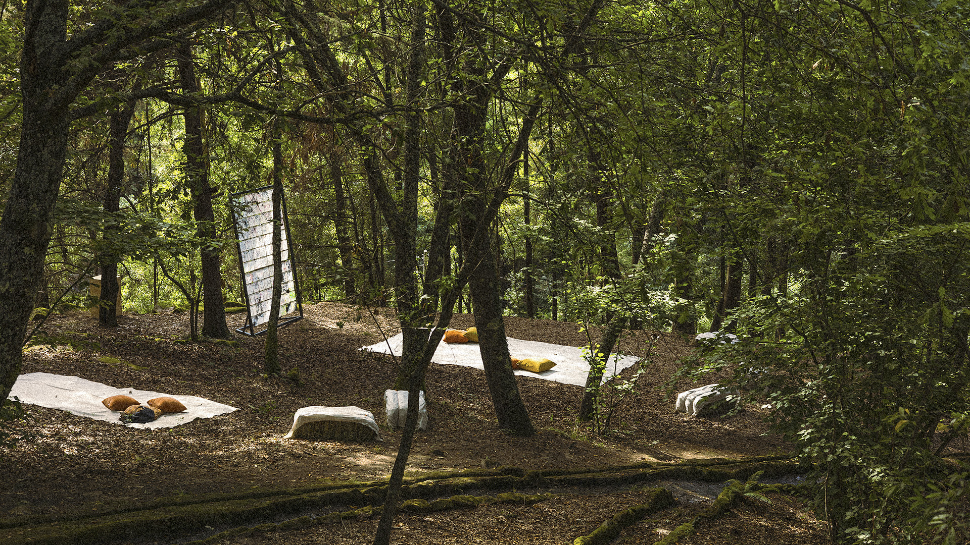 Vinculum Festival gallery image