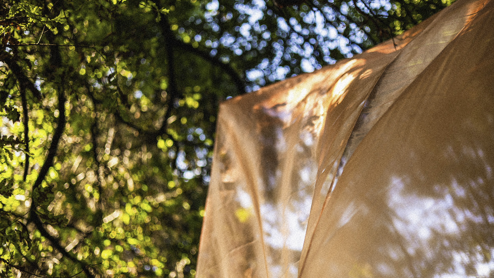 Vinculum Festival gallery image