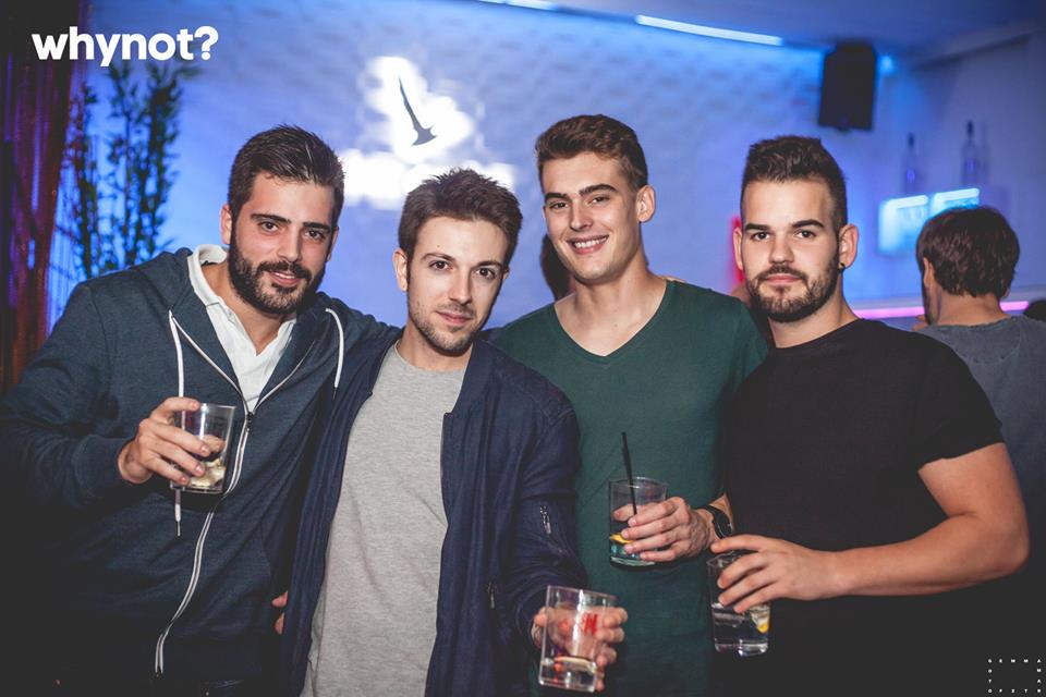 Why Not? gallery image