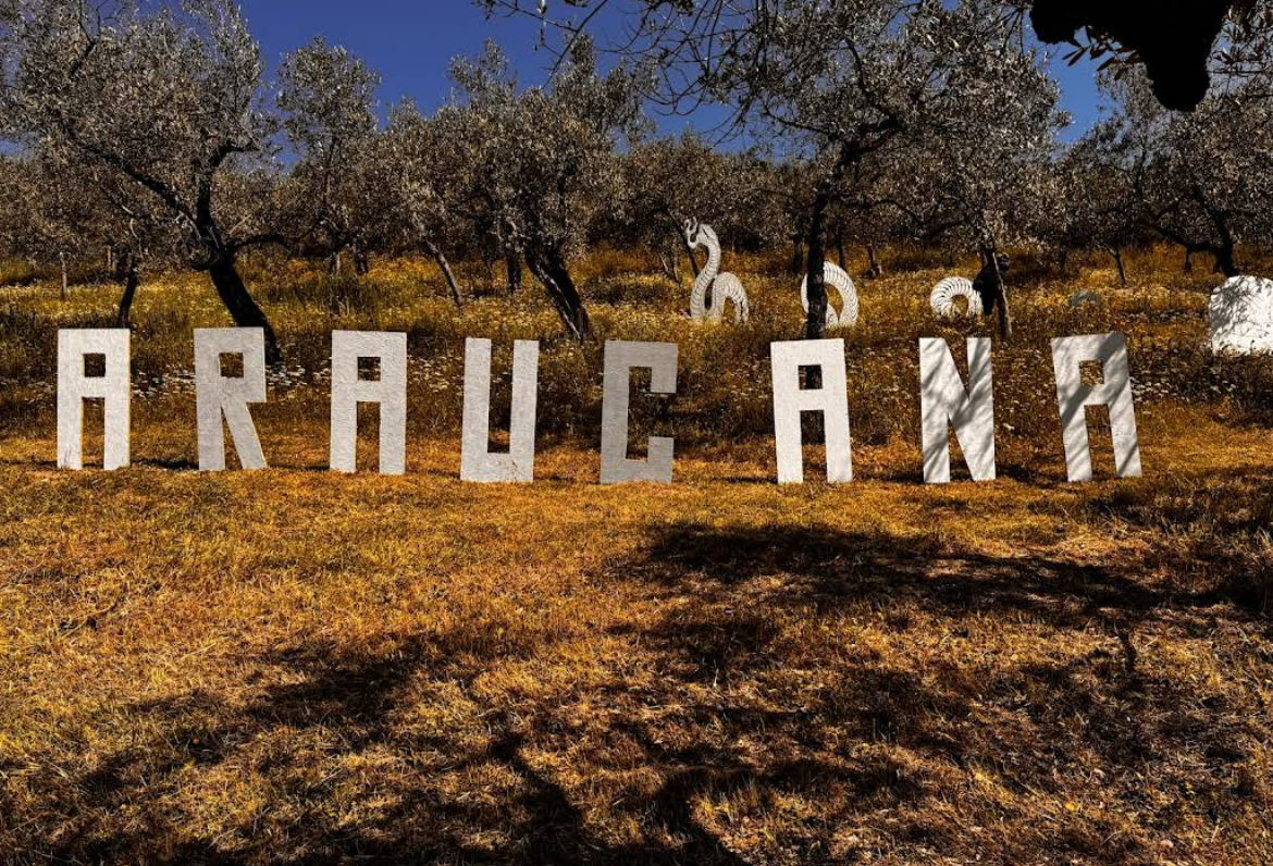 Araucana Sunset Sessions