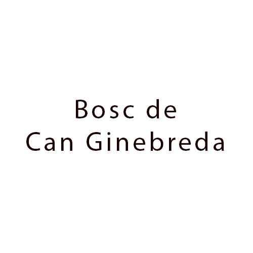 Bosc de Can Ginebreda