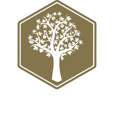 BOULEVARD BARCELONA - CLUB STUDIO