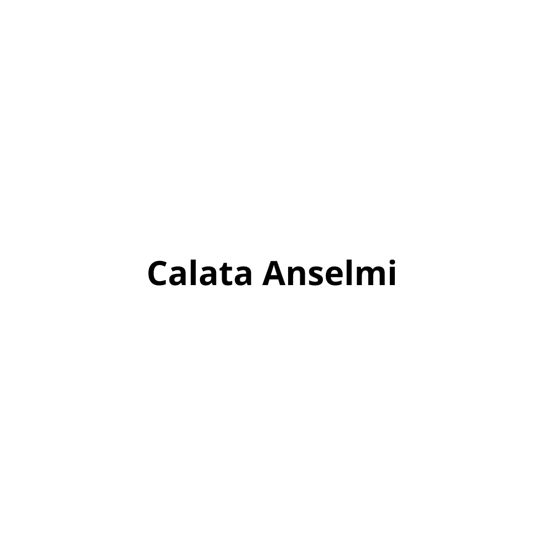 Calata Anselmi