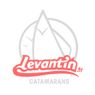 Levantin Catamaran