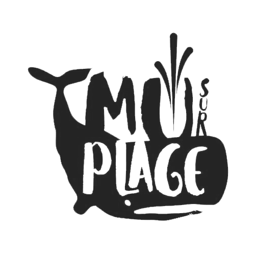 Musurplage – Musique sur la Plage