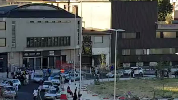 Notorius new DoraDistrict