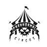 Paranormal Circus