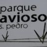 Parque do Avioso