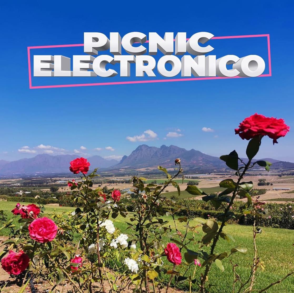 Picnic Electronico